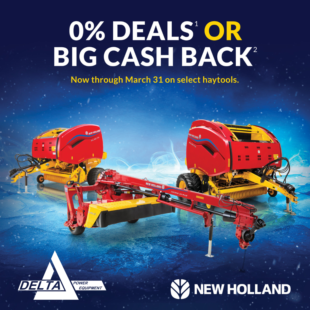 0% FOR 48 MONTHS or Cash Back